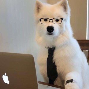 Meet your Posher, Mckenzie